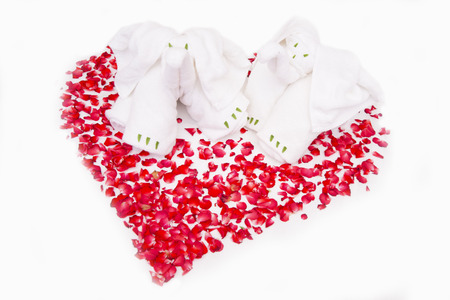 elephants towel and heart roseの写真素材