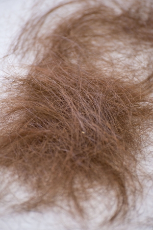 brown hair on the floor in salonの写真素材