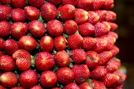 fresh Strawberries sweet fruits good for healthの写真素材