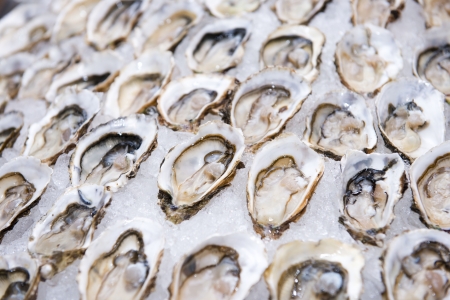 Big fresh oyster in the white plate fot dinner, seafood