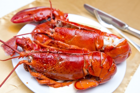 Big fresh lobster in the white plate fot dinner, seafoodの写真素材