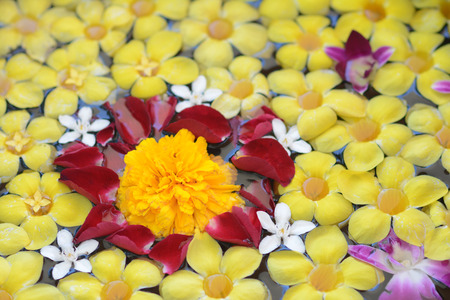 colorful flower on the water, decolations for homeの写真素材