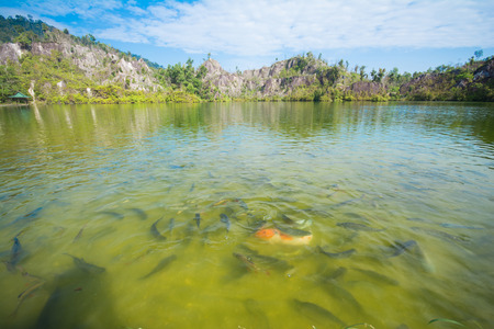 large lagoons with fish and mountain, natureの写真素材