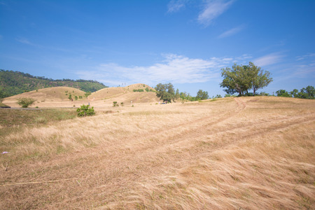 beautiful grass mountain at Ranong, Thailand, natureの写真素材