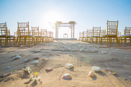 wedding set up on beach,chairの写真素材
