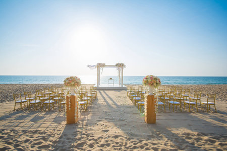 wedding set up on beach,chairの写真素材