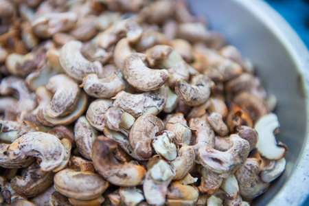 roast cashew nut for eat, harvestの写真素材