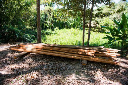 stack lumber to be used for construction, natureの写真素材