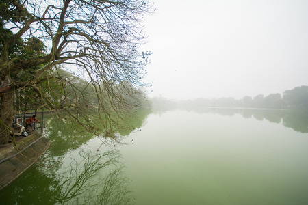 dry tree with reflection side the lake, riverの写真素材