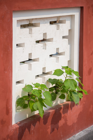 Tree growth through white air vents on the red wallの写真素材