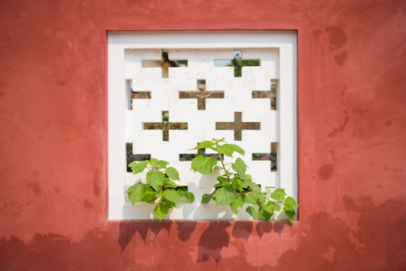 Tree growth through white air vents on the red wallの写真素材