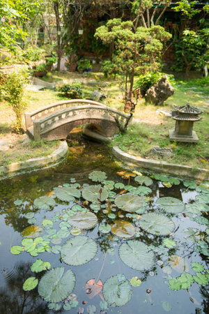 Mini garden Japanese style, natureの写真素材
