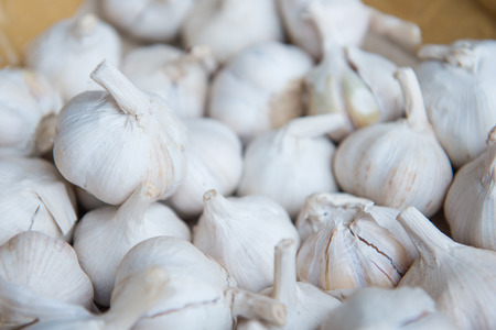 Many fresh white garlic for sale, vegetableの写真素材