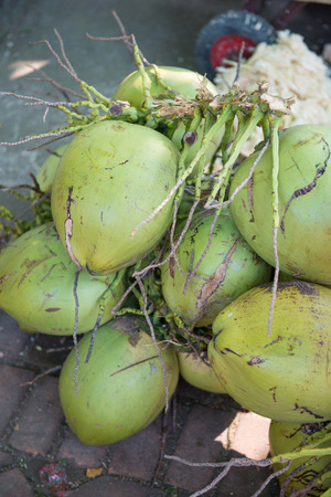 fresh coconut from coconut tree, natureの写真素材