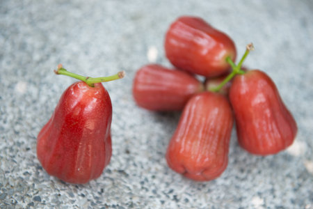 rose apple delicious Thai fruit fresh from farmの写真素材