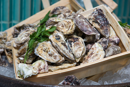 fresh oysters on ice, seafood