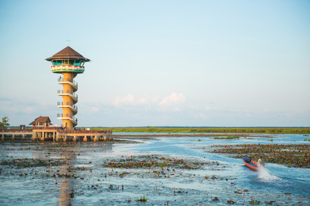 The boat was sailing in the swamp, going to towerの写真素材
