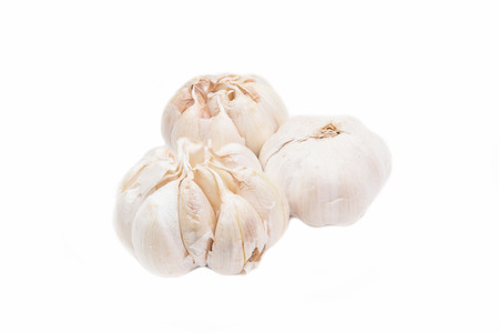 garlic ingredient for cooking on white backgroundの写真素材