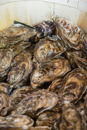 fresh oyster on buffet line, foodの写真素材