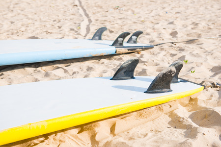 surfboards on sand at the beach, sportの写真素材