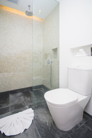 shower and flush toilet in bathroom, homeの写真素材