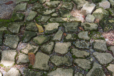 passage in garden made from broken bricks, wayの写真素材