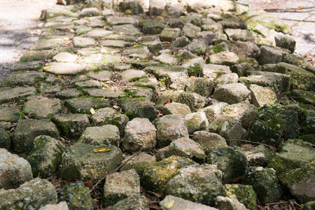 passage in garden made from broken bricks, wayの写真素材