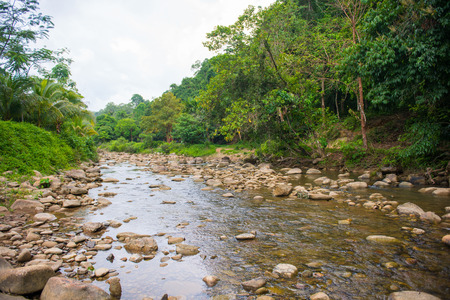 Water flowing in the river, natureの写真素材