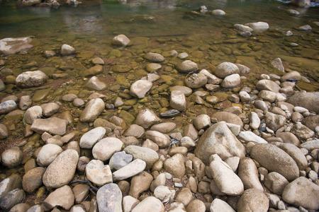 Water flowing in the river, natureの写真素材