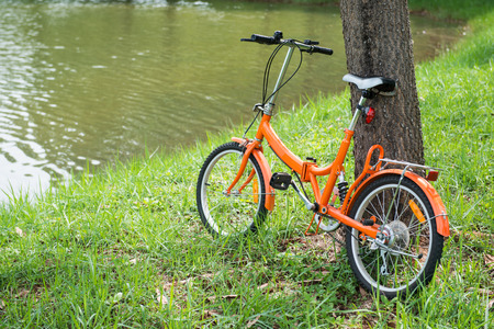 orange folding bicycles in park, bikeの写真素材