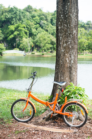orange folding bicycles in park, bikeの写真素材