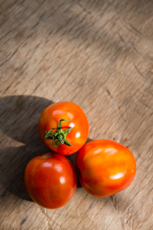 fresh red tomato from garden, vegetableの写真素材