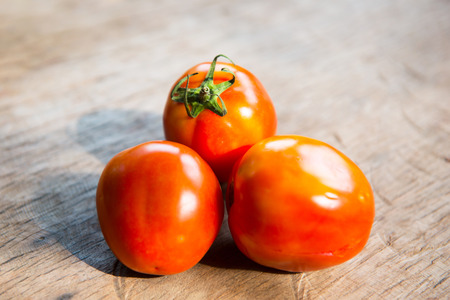 fresh red tomato from garden, vegetableの写真素材