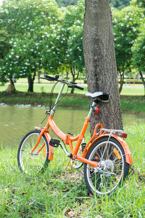 orange folding bicycles in park, bikeの写真素材