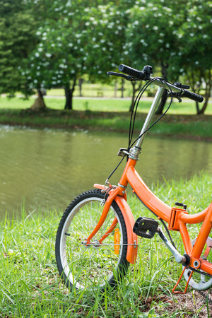 orange folding bicycles in park, bikeの写真素材