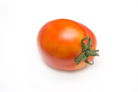 fresh red tomato from garden, vegetableの写真素材