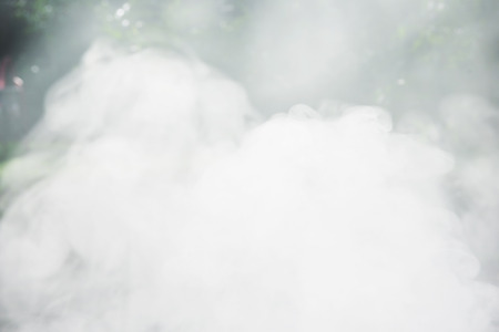 white smoke in garden, fireの写真素材