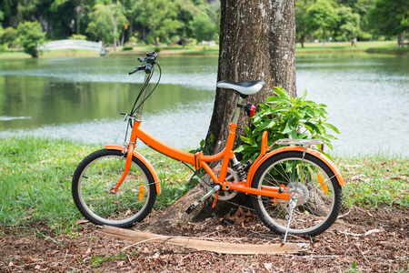 orange folding bicycles in park, bikeの写真素材