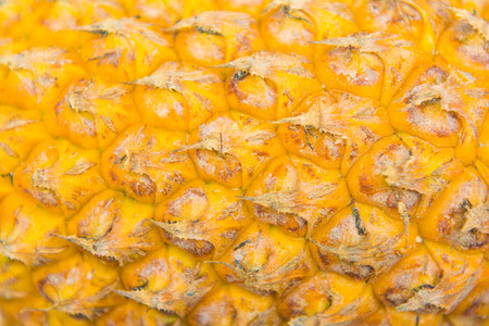 texture of pineapple for background, fruitの写真素材