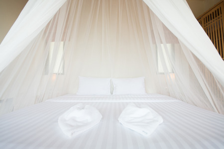 white mosquito net over a bed in a luxurious hotel, interior