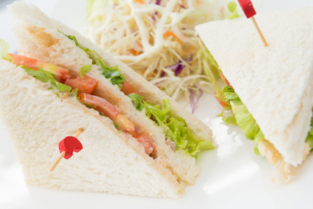 fresh tuna sanwich with vegetable, foodの写真素材