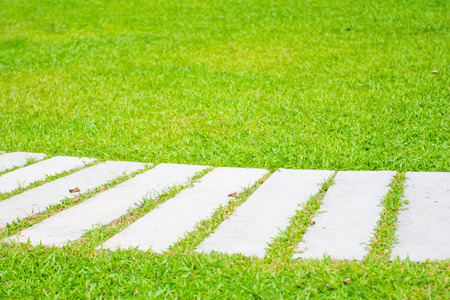 Concrete walkway on the green lawn, pathwayの写真素材