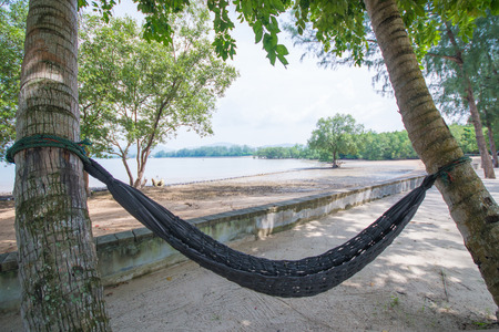 hammock under coconut trees near the sea, beachの写真素材