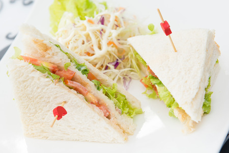 fresh tuna sanwich with vegetable, foodの写真素材