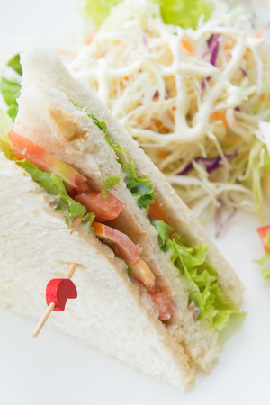 fresh tuna sanwich with vegetable, foodの写真素材