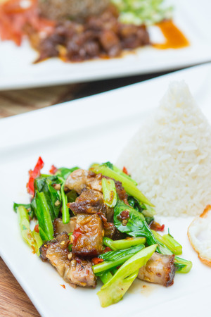 Kale with crispy pork and rice, foodの写真素材