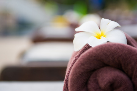 brown roll towel with plumeria on beach chair, flowerの写真素材