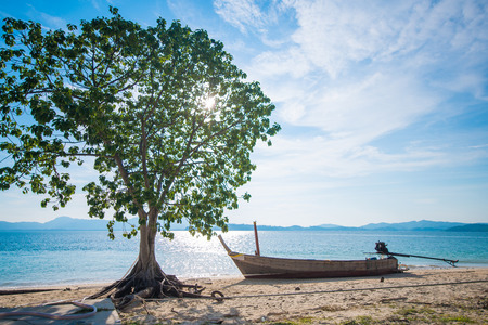 tree with long tail boat on the beach at Naka Noi Island Phuket, Thailandの写真素材