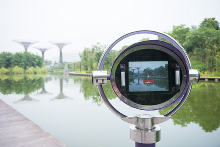 camera for show detail of plants in the garden at garden by the bay, natureの写真素材