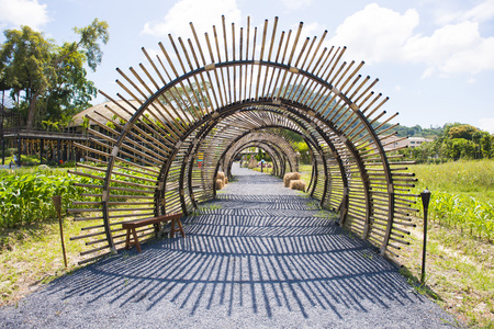 bamboo tunnel structure in garden, outdoorの写真素材